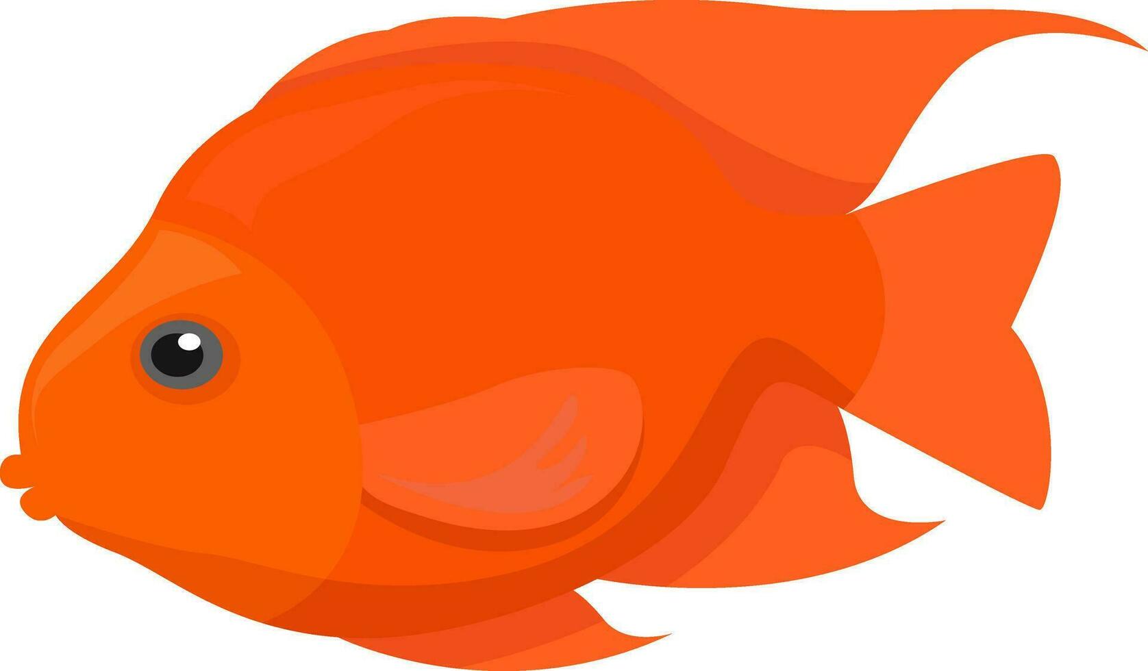 oranje vis, illustratie, vector Aan wit achtergrond