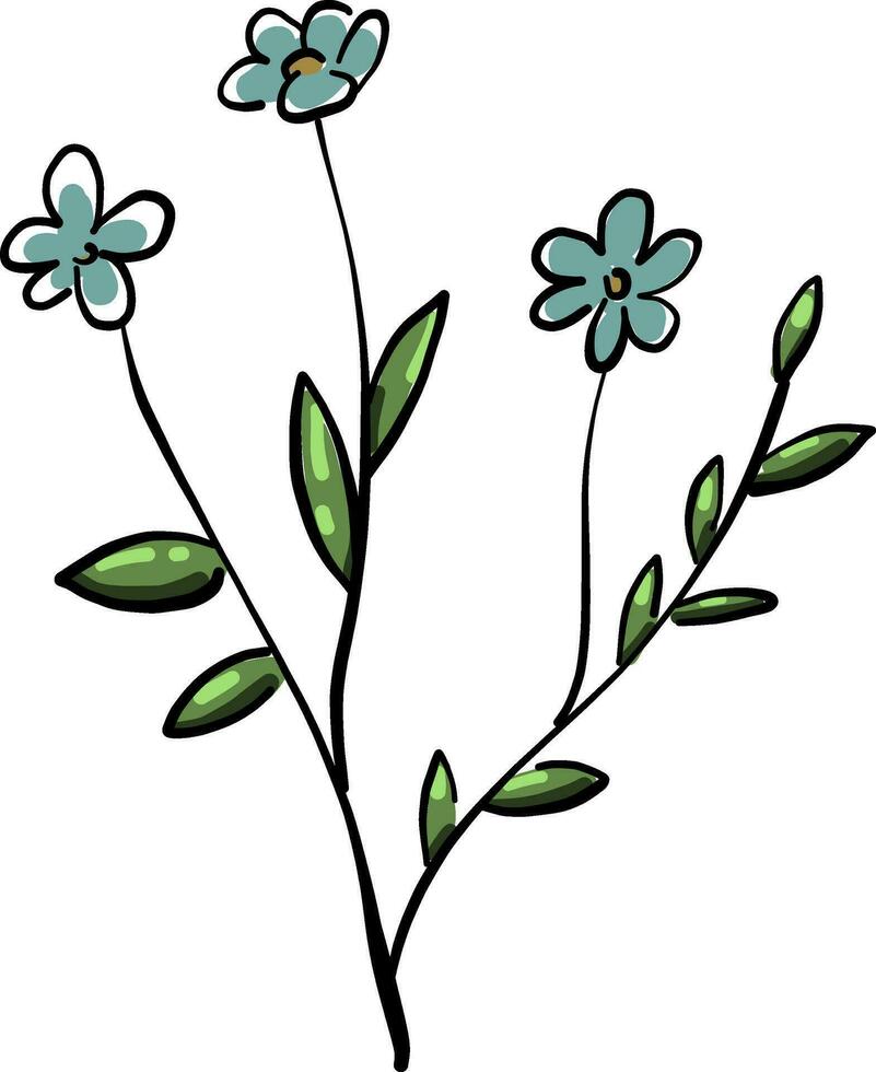 delicaat blauw bloem, illustratie, vector Aan wit achtergrond