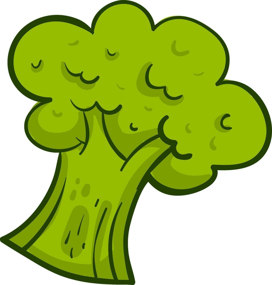 interessant broccoli, illustratie, vector Aan wit achtergrond