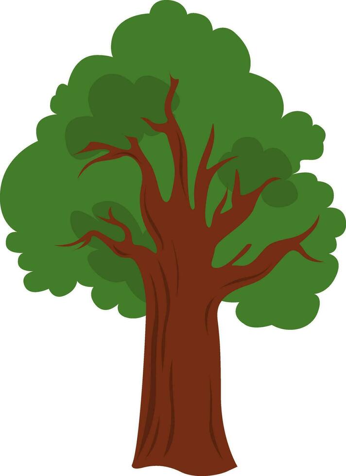 groot eik boom, illustratie, vector Aan wit achtergrond