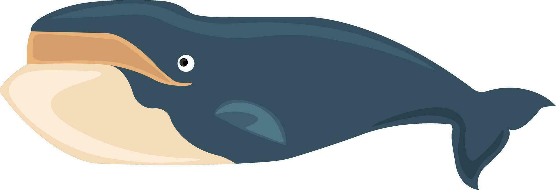 groot blauw walvis, illustratie, vector Aan wit achtergrond.