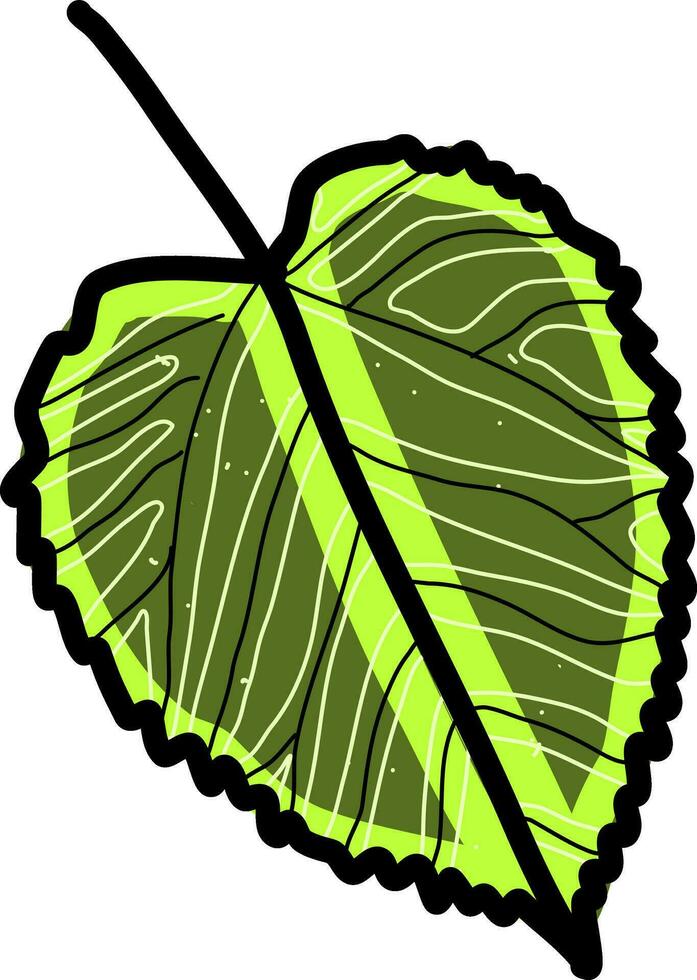 groen blad, illustratie, vector Aan wit achtergrond.