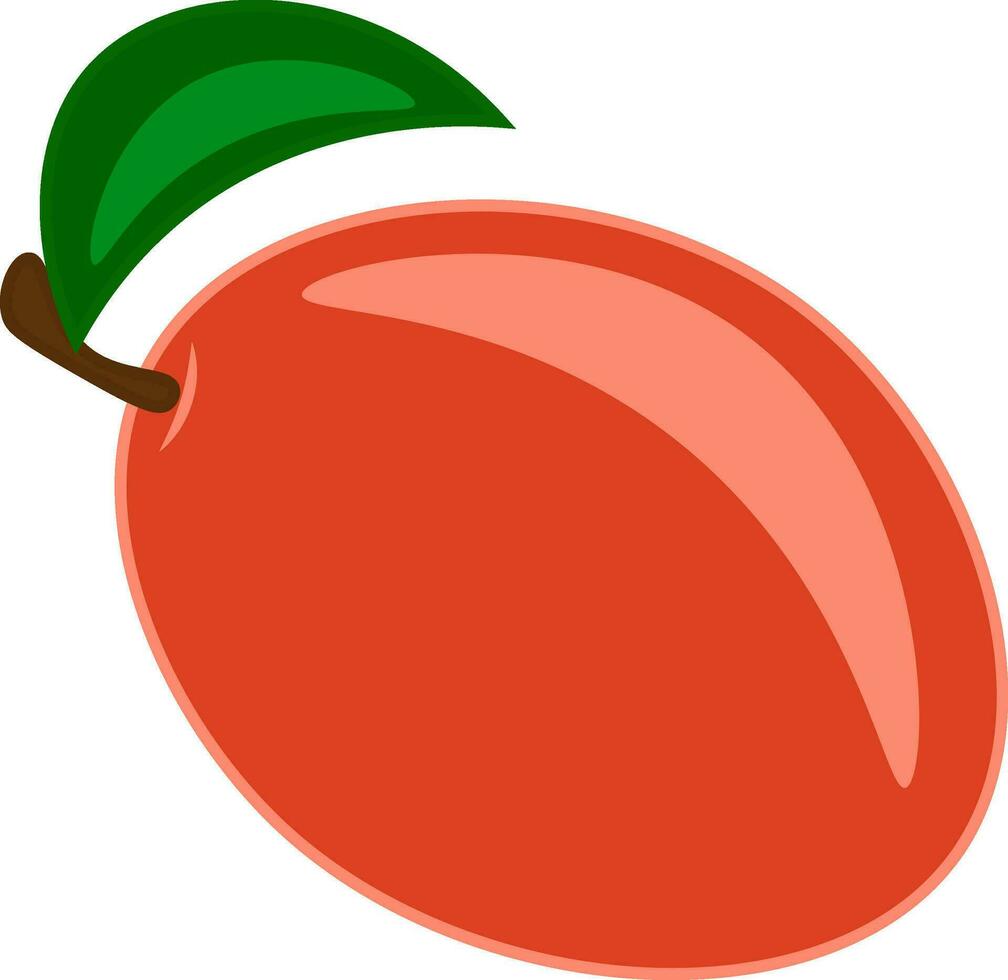 een mango vector of kleur illustratie
