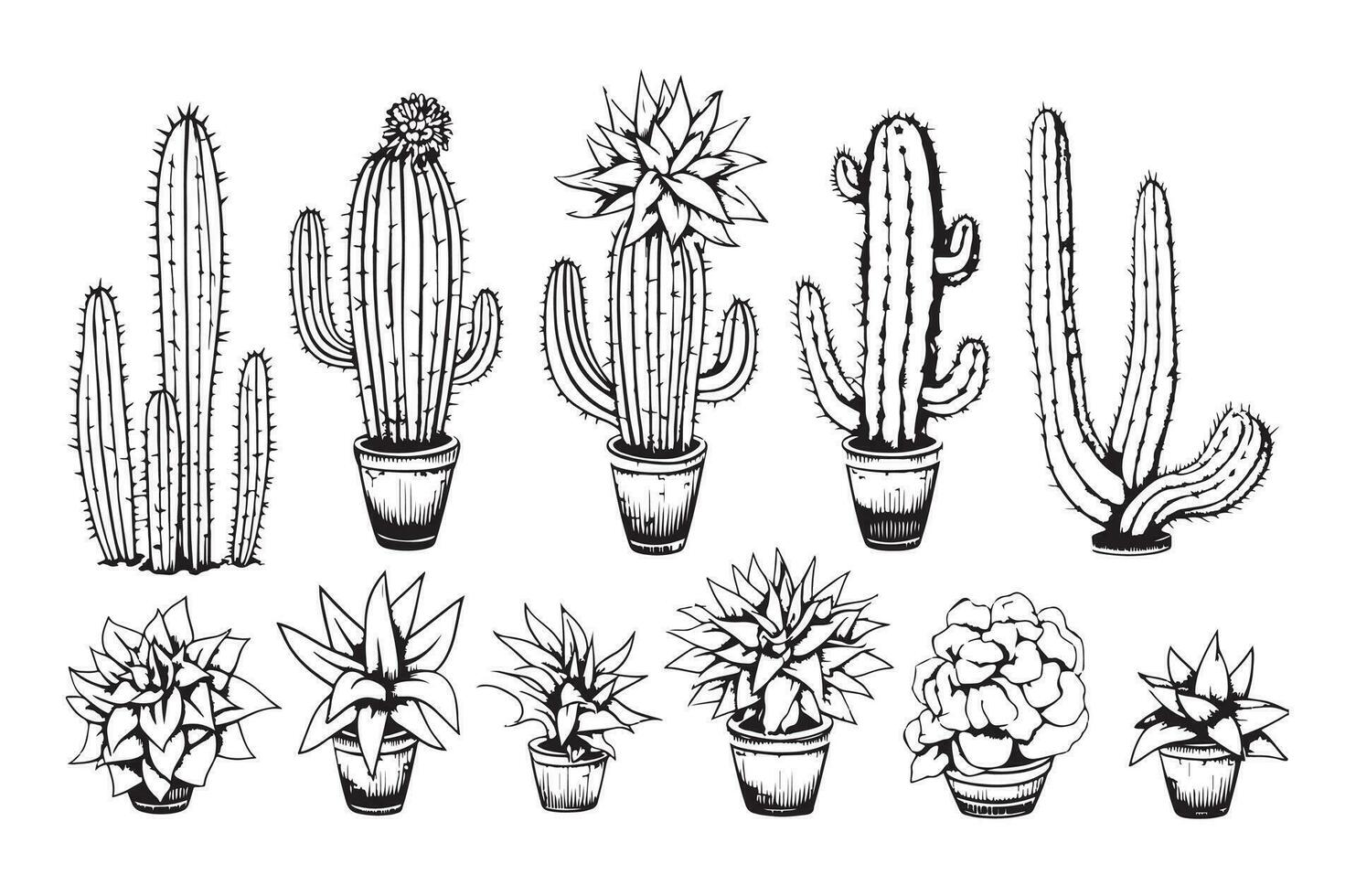 reeks van cactus vector illustraties in schattig tekening stijl geïsoleerd Aan wit achtergrond