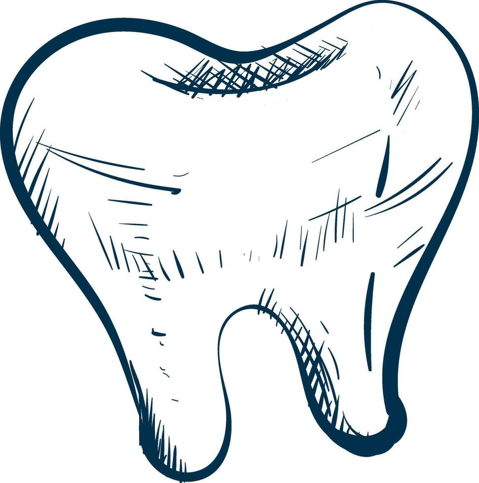 schetsen tekening van een wit tand , vector of kleur illustratie