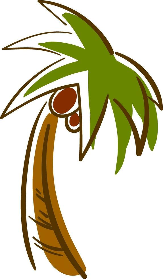 een hoog palm boom, vector of kleur illustratie