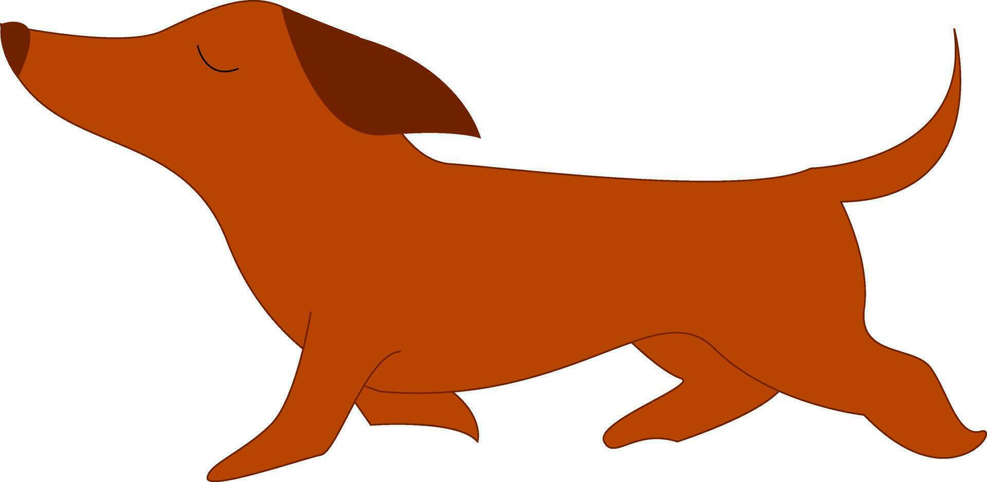 lang hond , vector of kleur illustratie