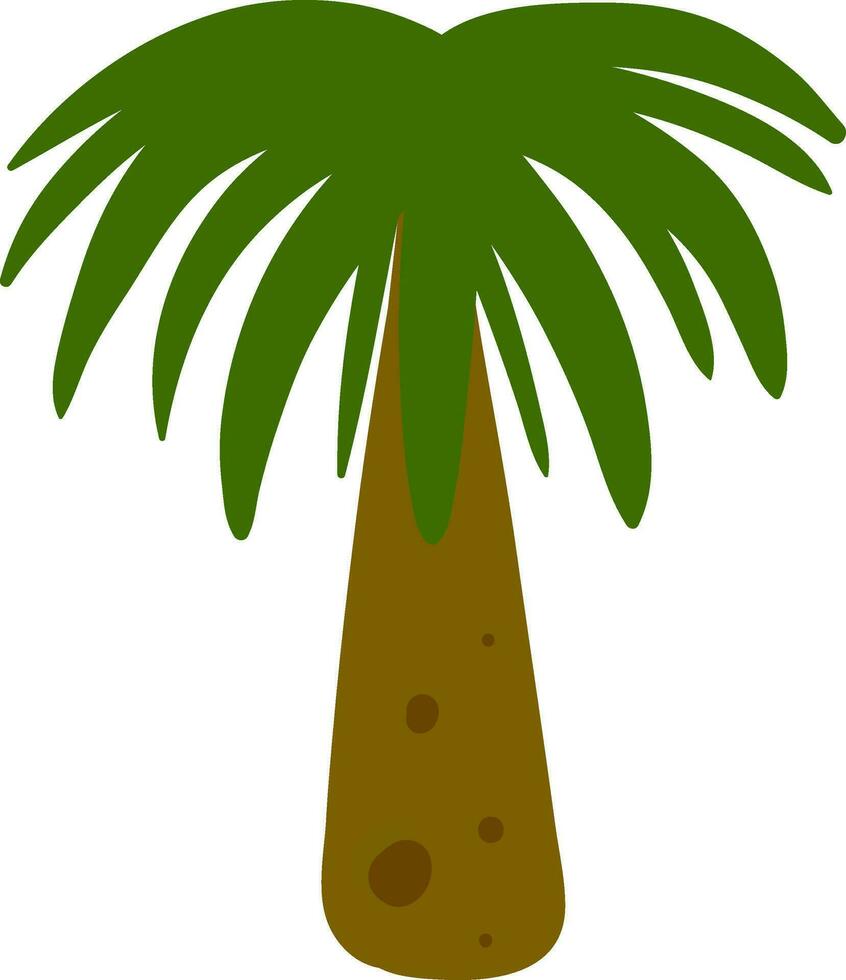 een vlak palm boom , vector of kleur illustratie