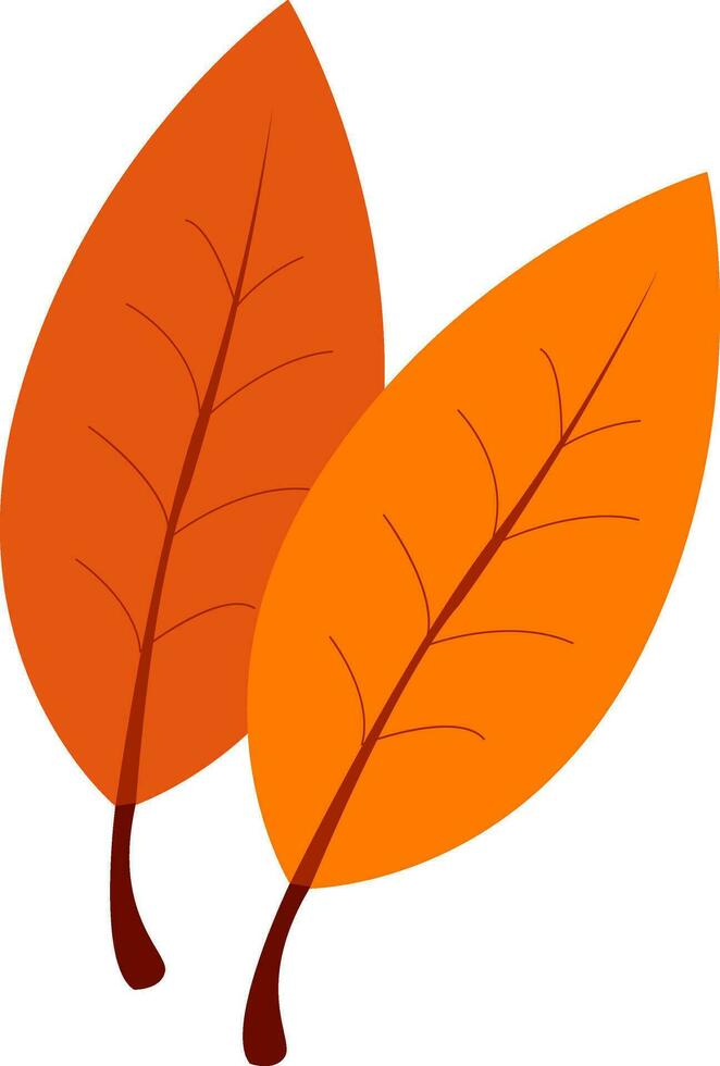 twee bladeren met oranje kleur, vector of kleur illustratie.