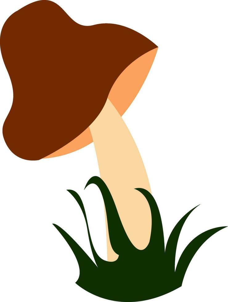 paddestoel, vector of kleur illustratie.