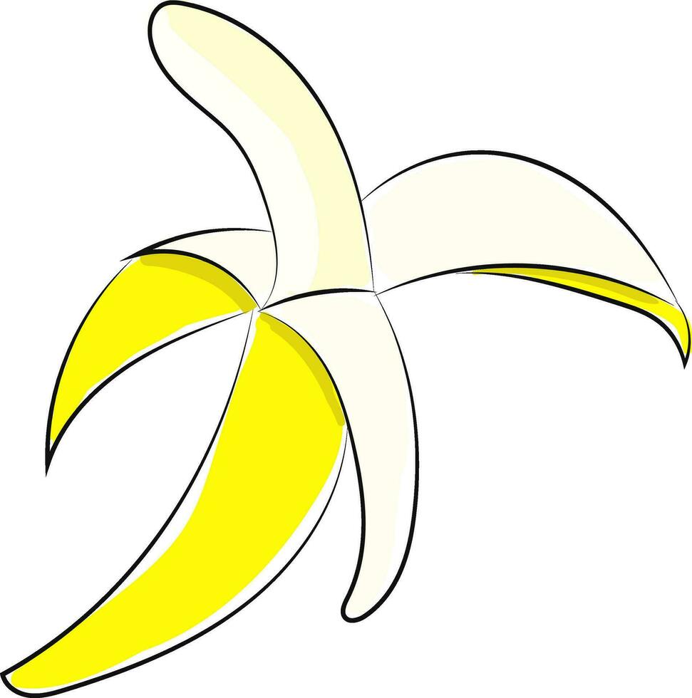 beeld van banaan, vector of kleur illustratie.