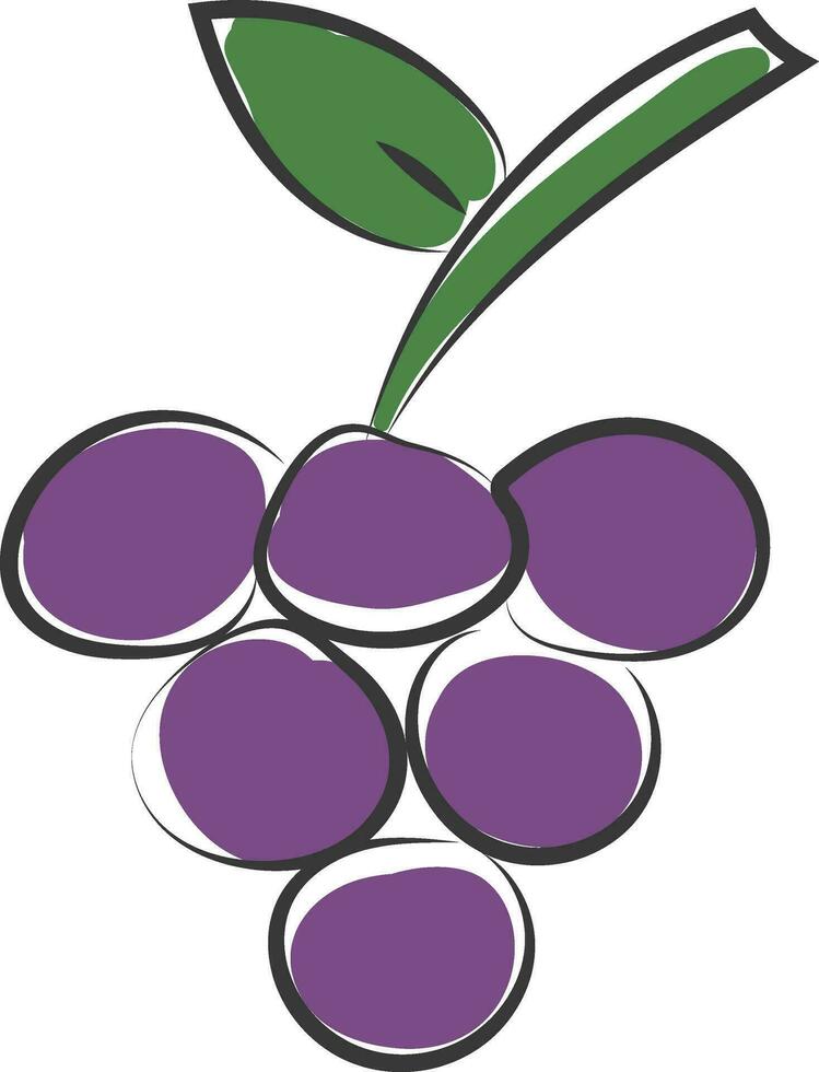 clip art van een bundel van rond vormig Purper druiven vector of kleur illustratie
