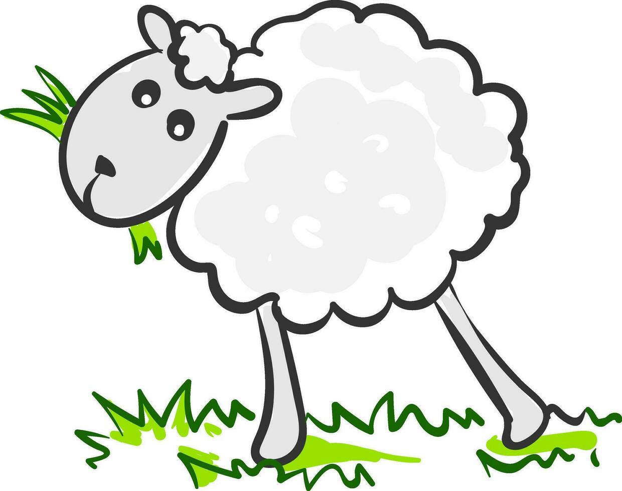 gelukkig schapen , vector of kleur illustratie