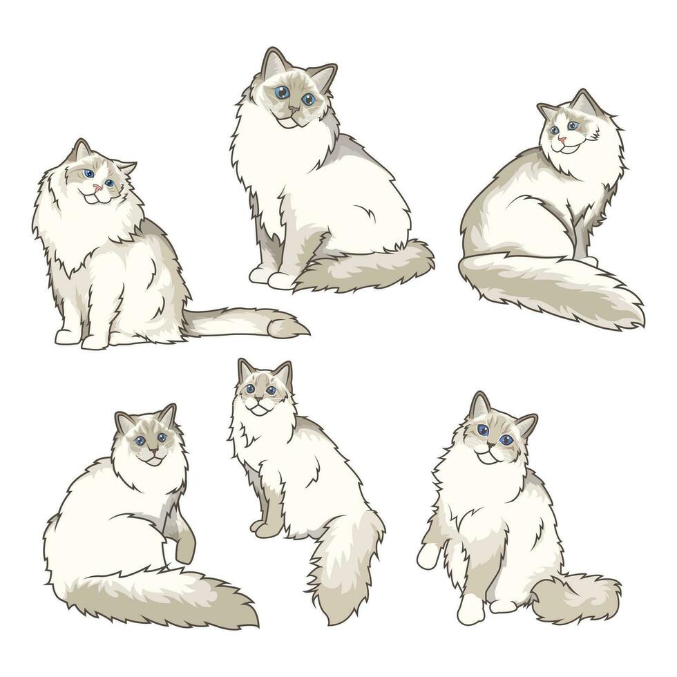 onderzoeken lappenpop katten in divers charmant poseert. onze hoge kwaliteit illustraties vastleggen hun genade en charme. perfect voor huisdier gerelateerd ontwerpen. vector