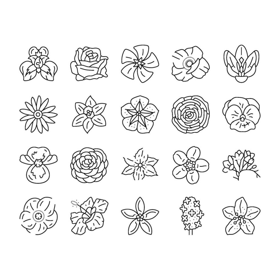 bloem bloesem voorjaar pictogrammen reeks vector