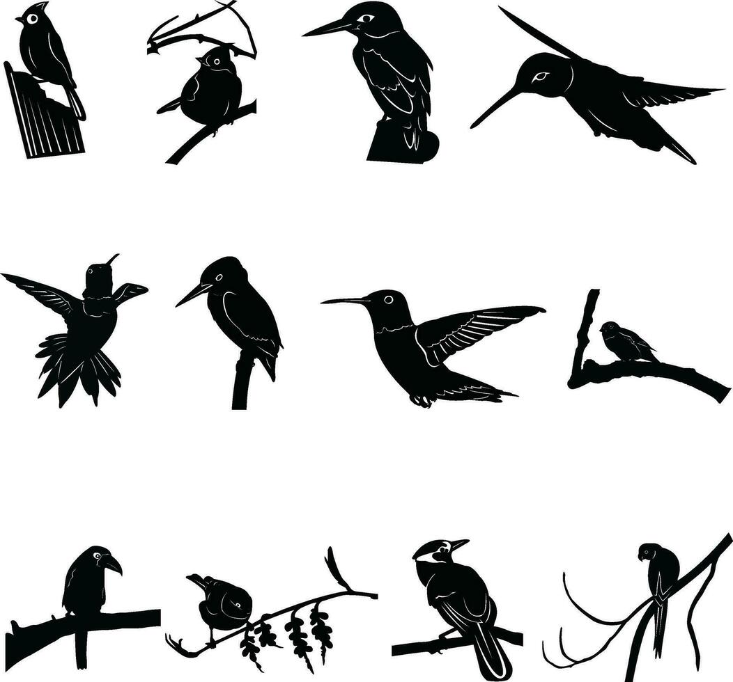 reeks van vogelstand silhouet ontwerp Aan een wit achtergrond vector