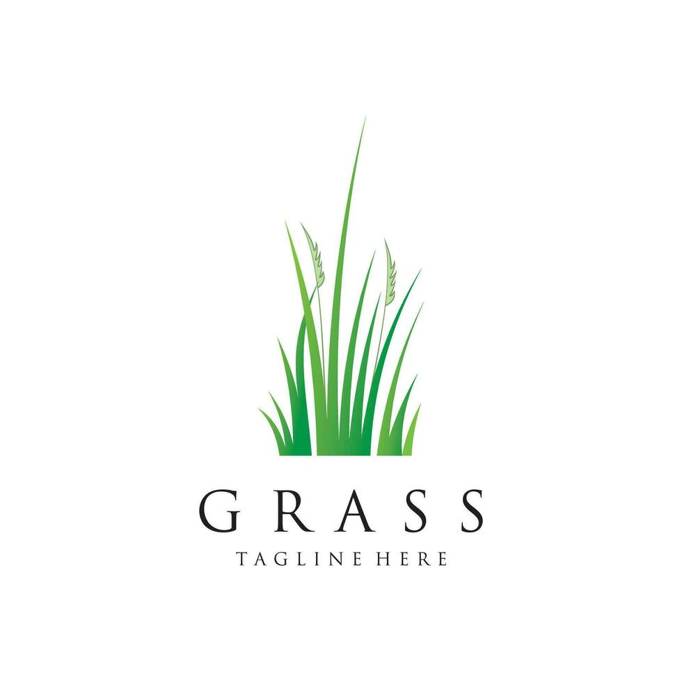 gras logo ontwerp sjabloon vector illustratie met creatief idee