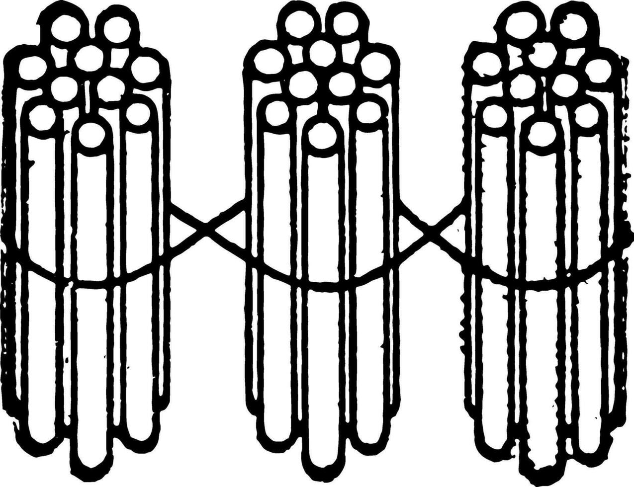 3 bundels van tien stokken, wijnoogst illustratie vector