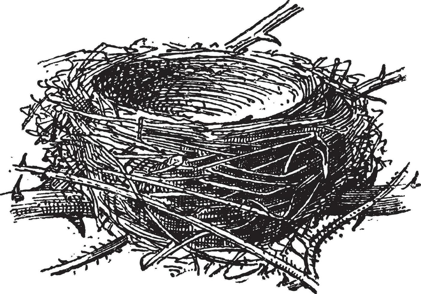 nest van de zwartkop of sylvia atricapilla, wijnoogst gravure vector