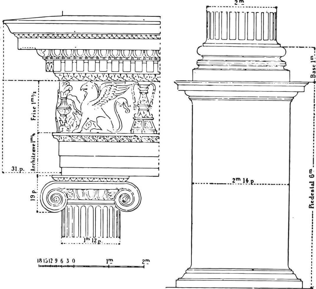 ionisch bestellen, wijnoogst gravure. vector