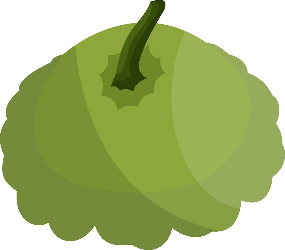 licht groen sint-jakobsschelp met donker groen bladsteel vector illustratie van groenten Aan wit achtergrond.