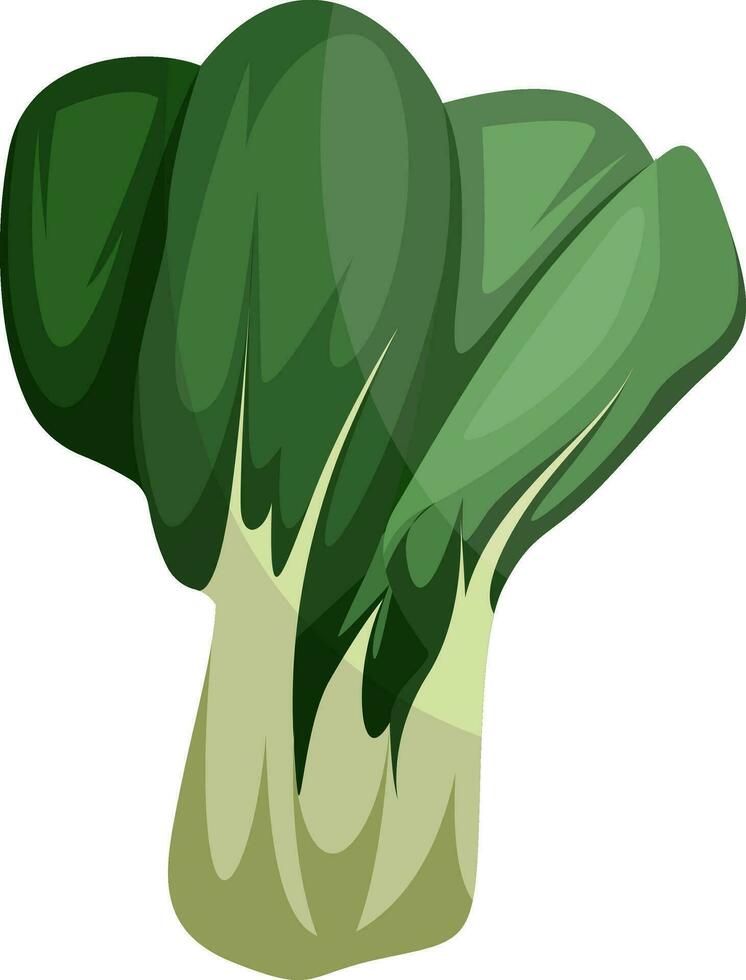 Aziatisch Groenen vector illustratie van groenten Aan wit achtergrond.