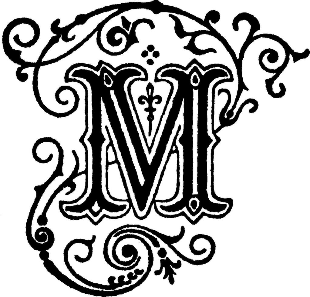 decoratief brief m, wijnoogst illustratie vector