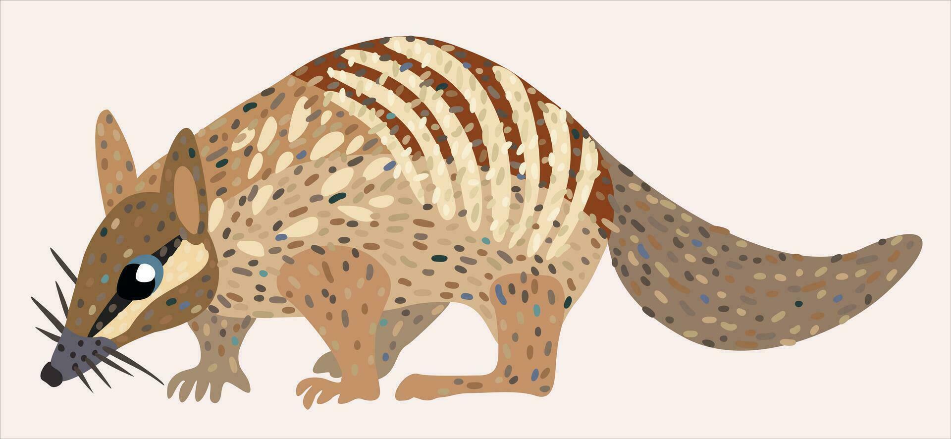 nambat, Australisch buideldier miereneter. vector geïsoleerd illustratie