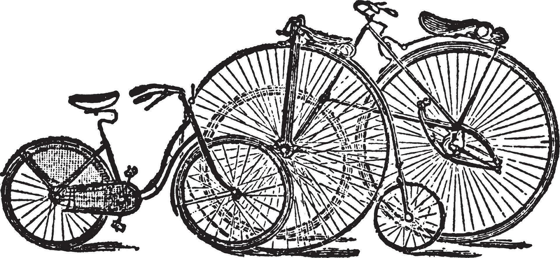 fiets, wijnoogst illustratie. vector