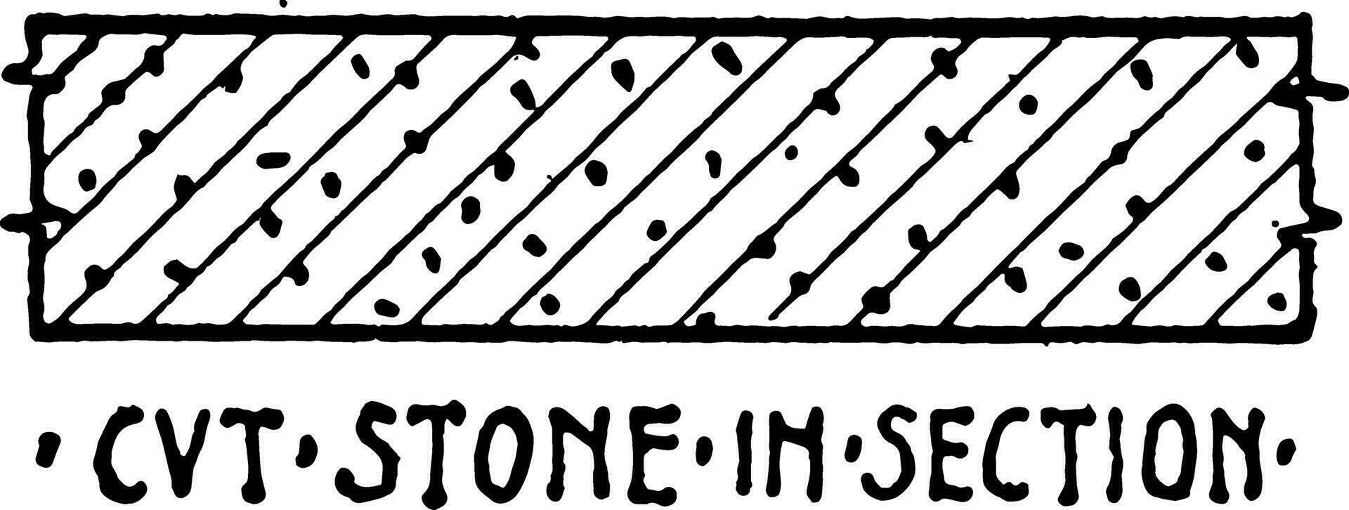 cvt steen in sectie materiaal symbool takken zijn gebruikt wijnoogst gravure. vector