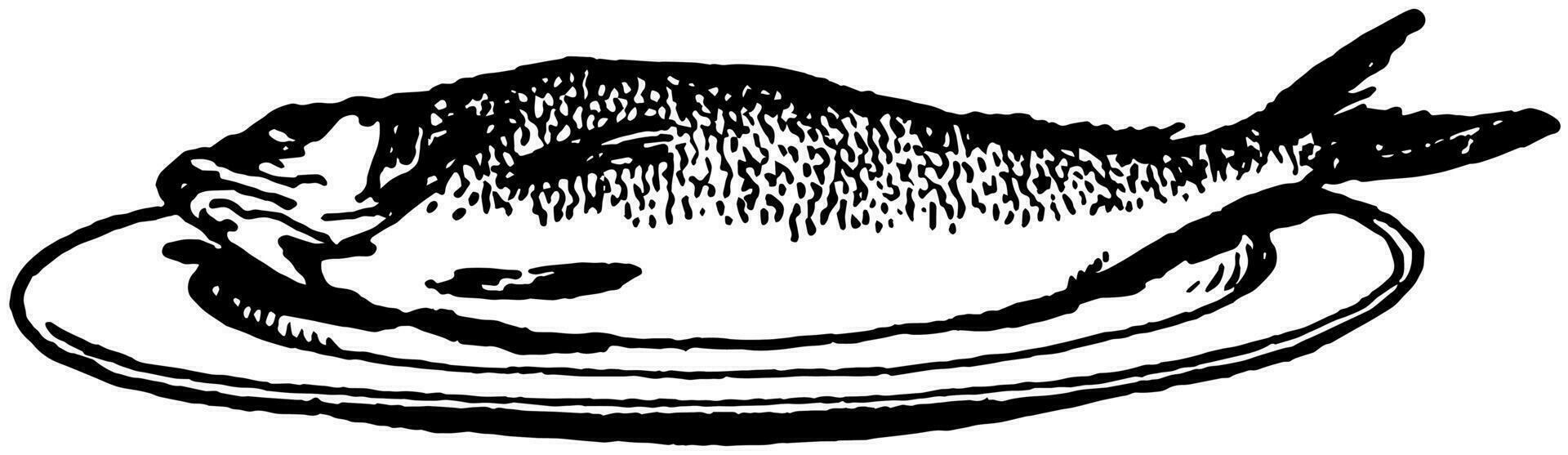 geheel vis Aan een bord, wijnoogst illustratie. vector