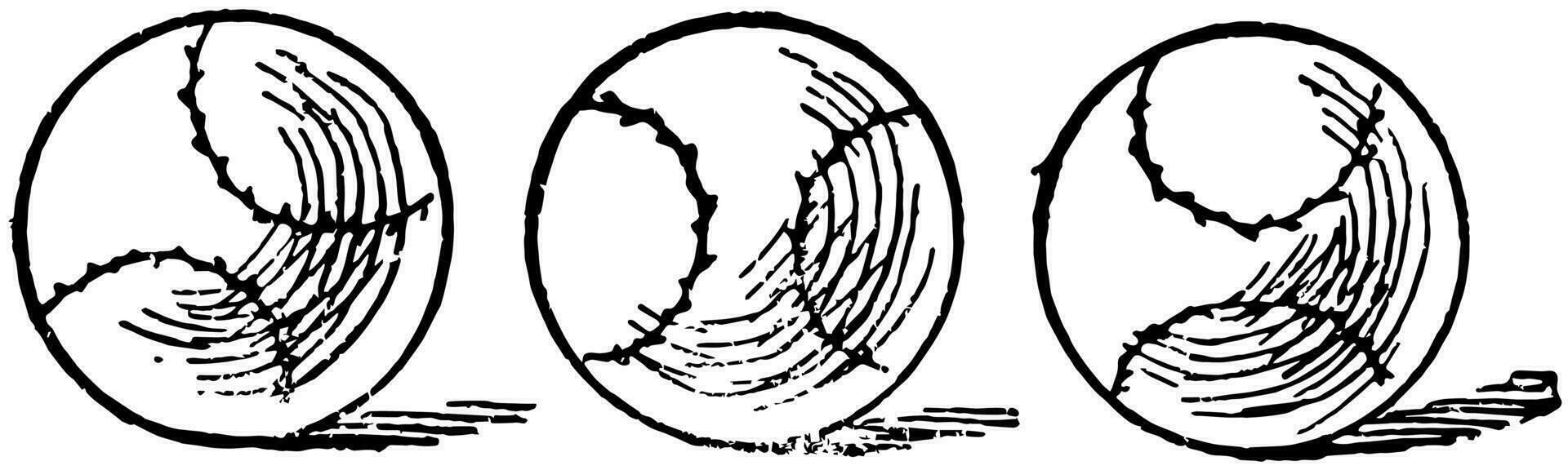 drie ballen, wijnoogst illustratie vector