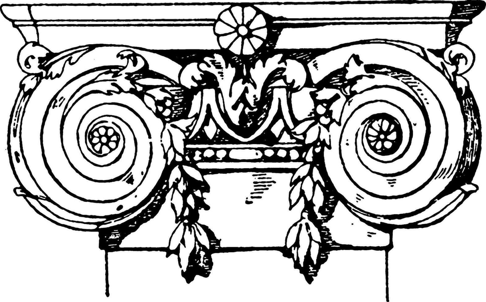 ionisch pilaster hoofdstad, voluten, wijnoogst gravure. vector