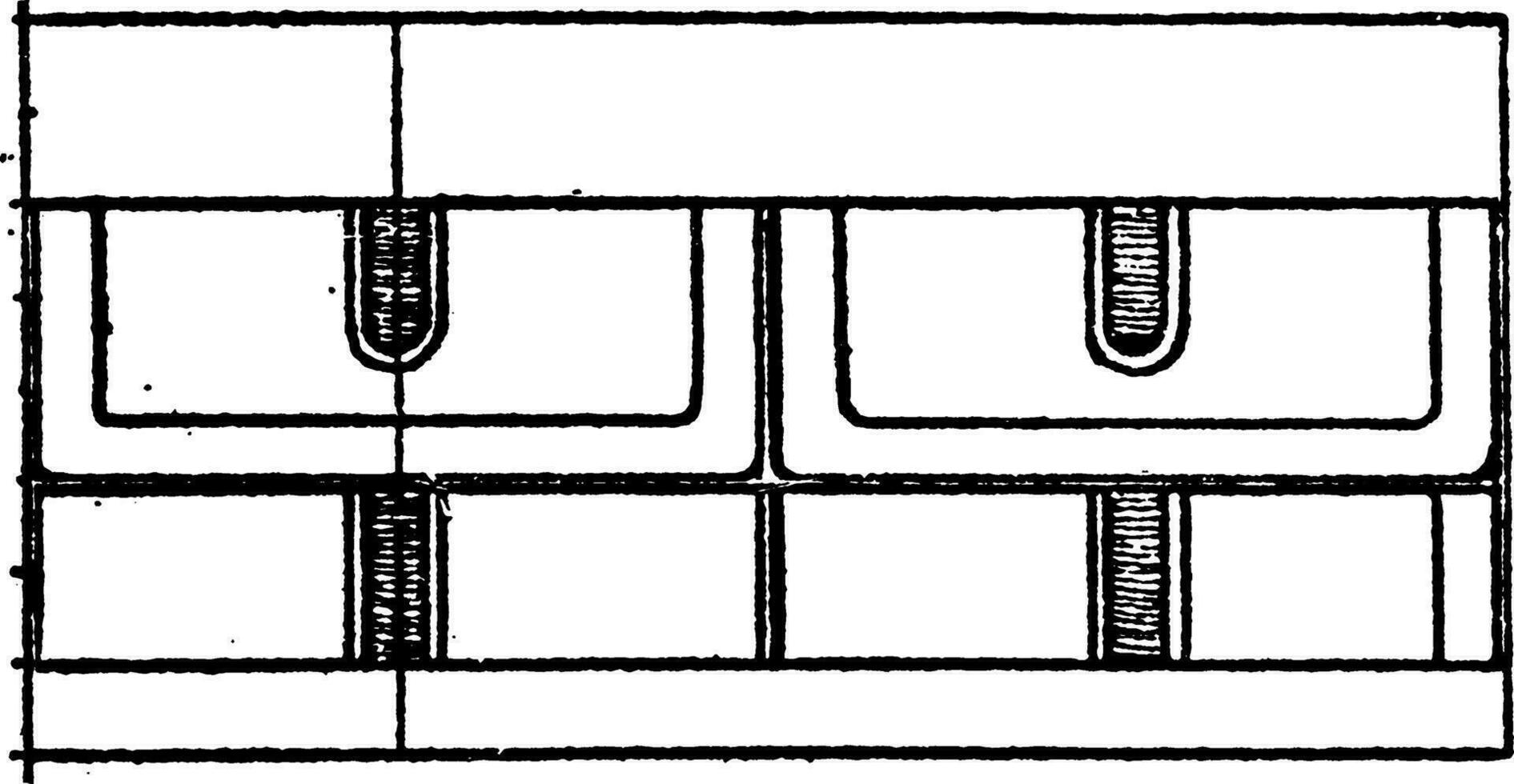 Grieks-Dorisch vormen, bladeren, wijnoogst gravure. vector