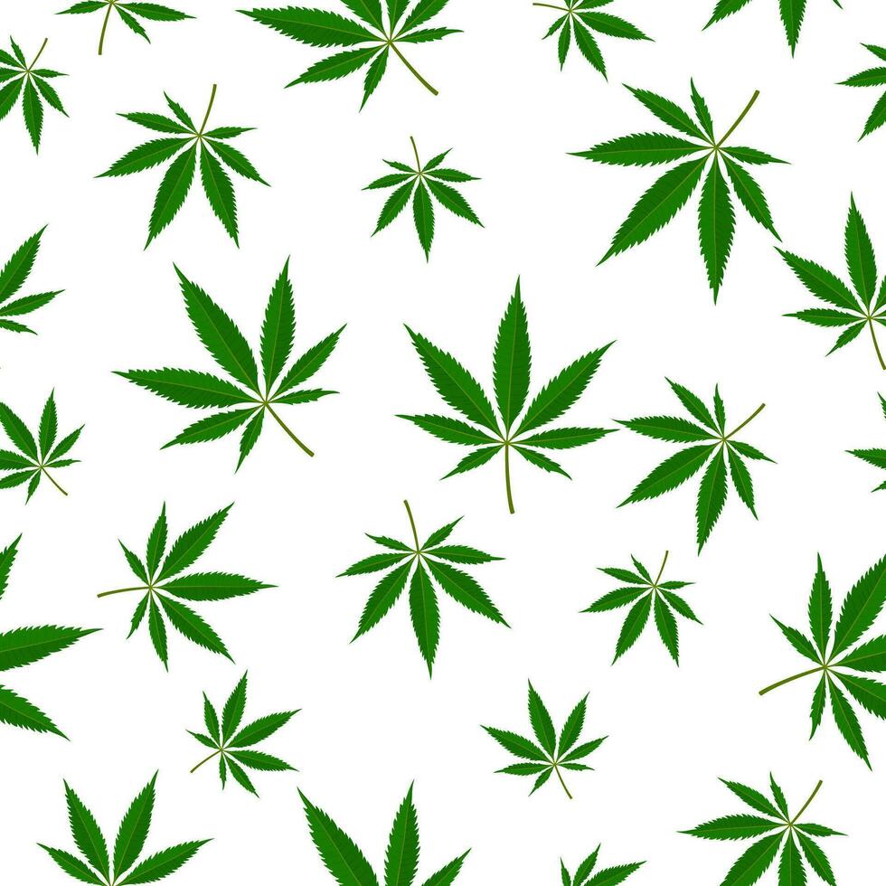 marihuana blad naadloos patroon. medisch hennep plant, kruiden indica sativa. natuurlijk hennep achtergrond. verslaving rook onkruid verdovende middelen onwettig verdovend. vector illustratie.