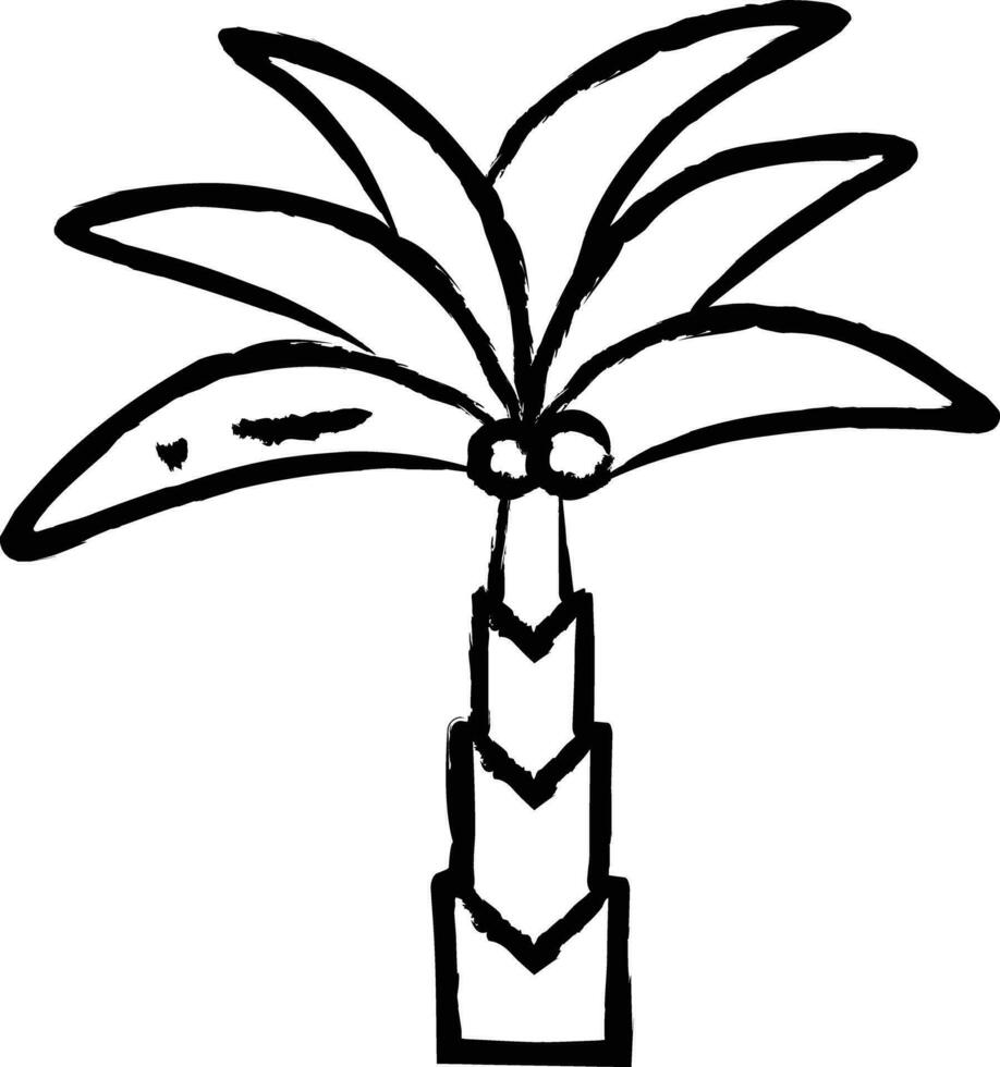 datum palm hand- getrokken vector illustratie