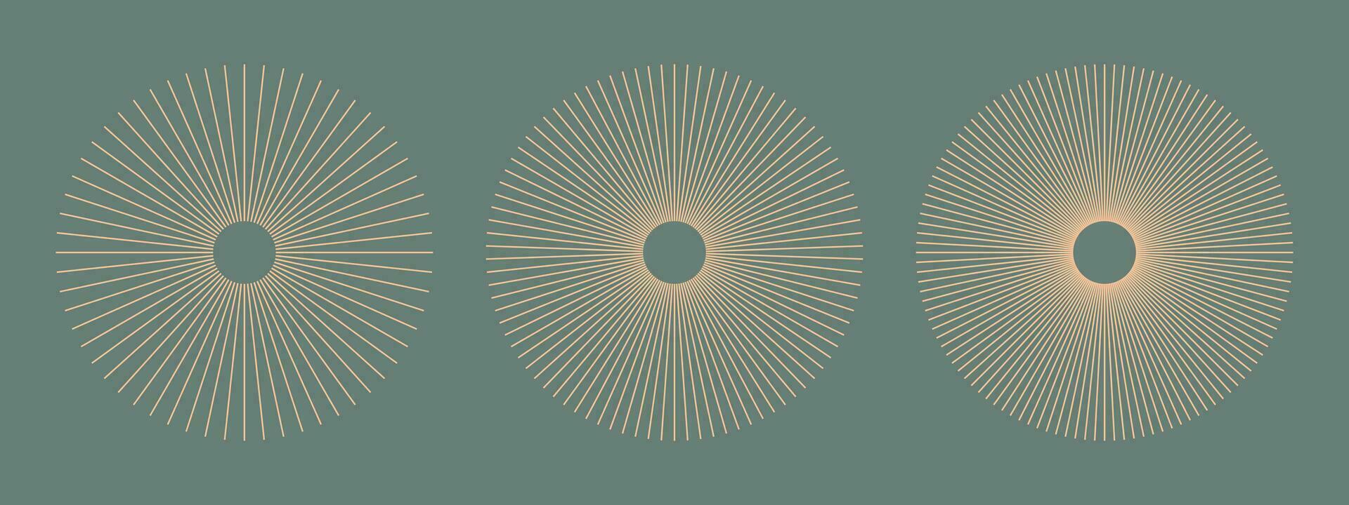 radiaal cirkel lijnen. circulaire lijnen elementen. symbool van zon ster stralen. perzik dons sneeuwvlok. vlak ontwerp element. abstract illusie meetkundig vorm geven aan. spaken met uitstralend strepen. vector grafisch. eps.