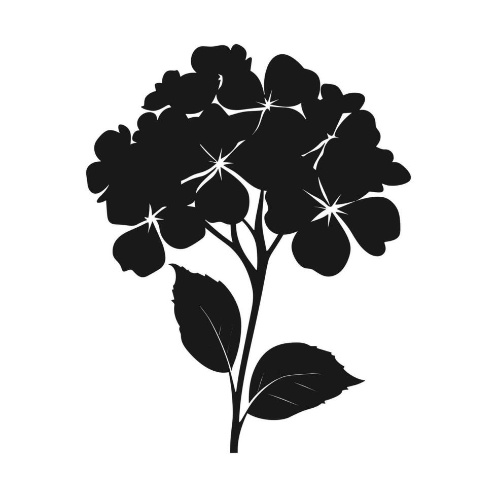 een hortensia bloem vector silhouet vrij