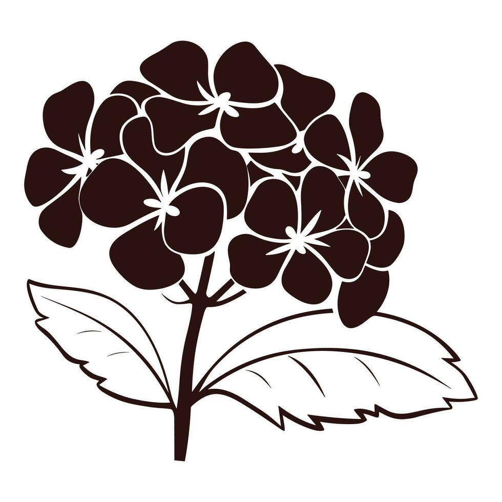 een hortensia bloem vector silhouet vrij
