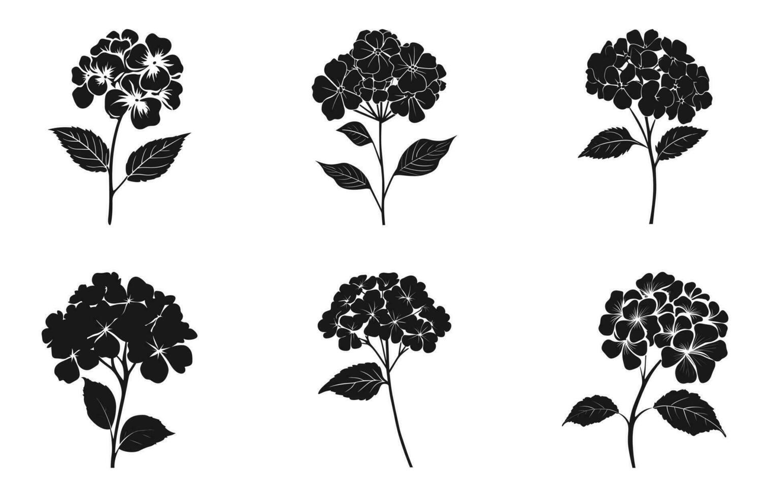 hortensia bloem silhouet vector set, hortensia bloemen clip art bundel