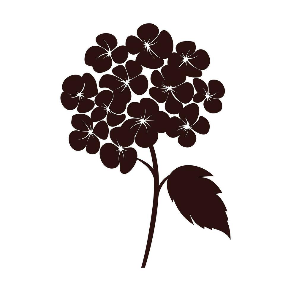 een hortensia bloem vector silhouet vrij