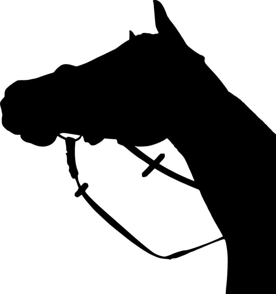 paard silhouet vector Aan wit achtergrond