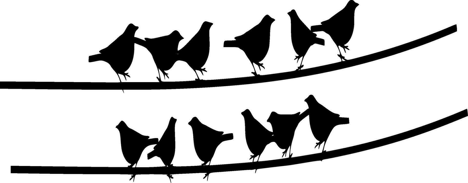 vogelstand van vrijheid silhouet vector Aan wit achtergrond
