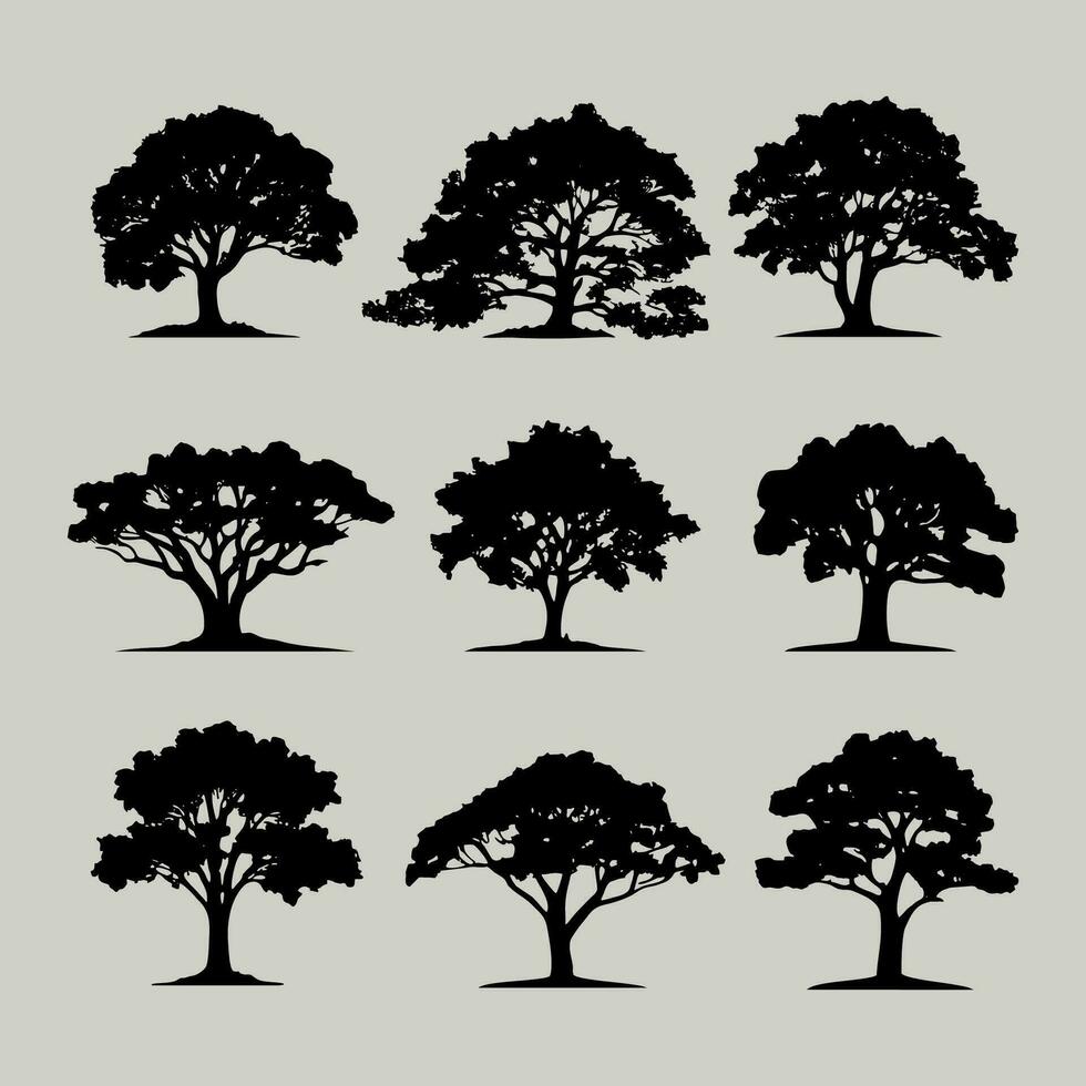 wijnoogst bomen en Woud silhouetten set, vlak icoon ontwerp vector Aan wit achtergrond