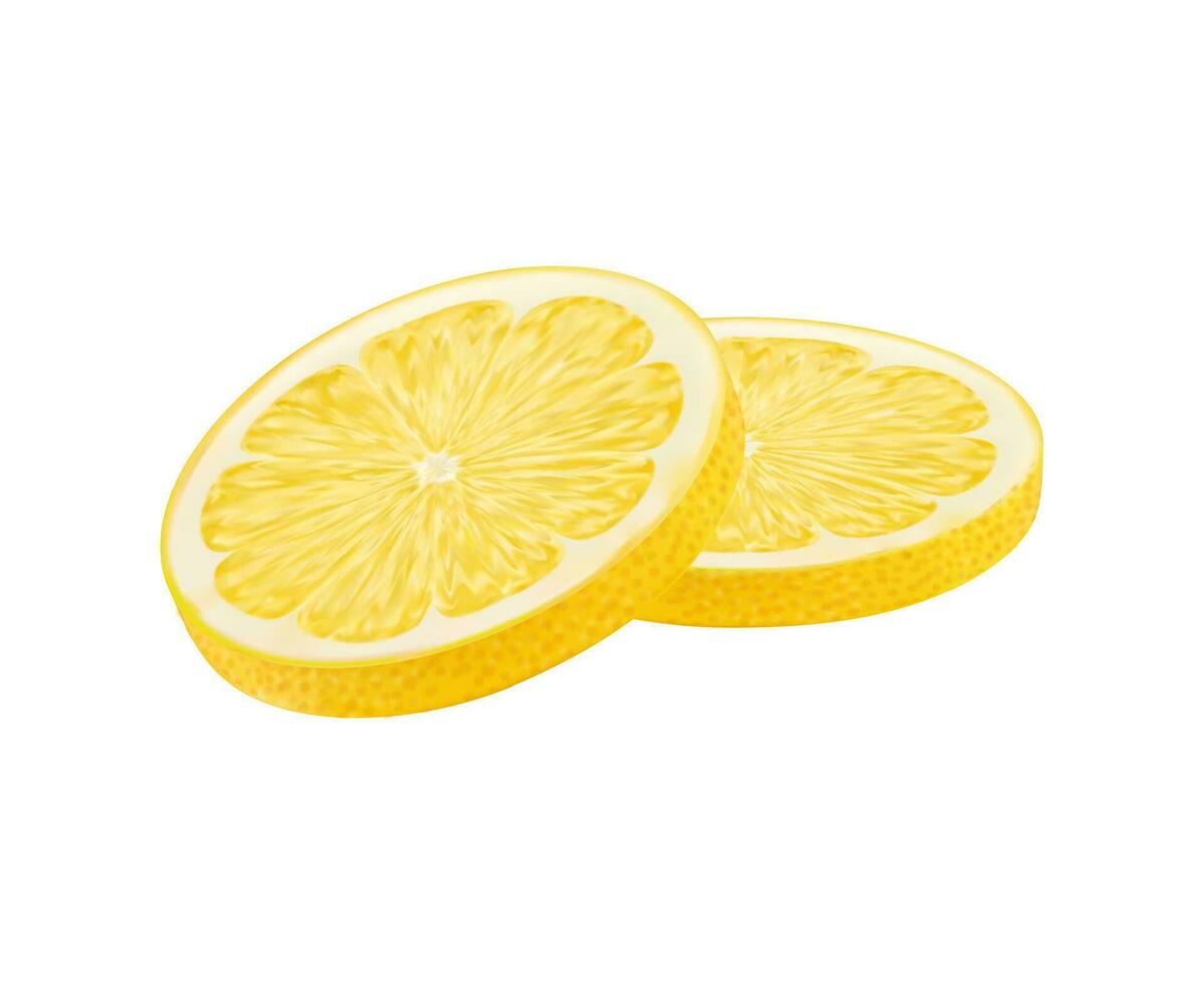 realistisch rijp geel citroen citrus fruit plakjes vector