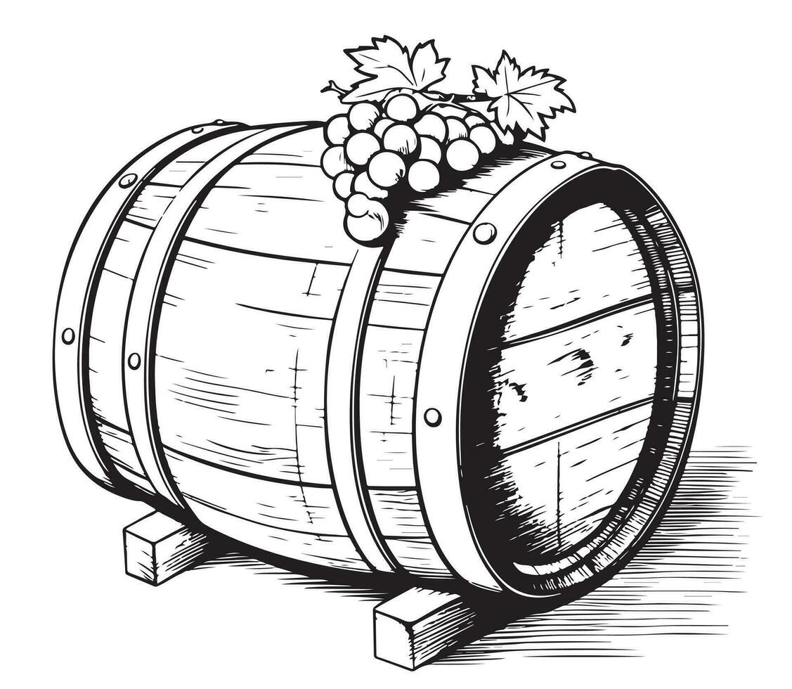 houten vat wijnoogst . vector hand- getrokken schetsen illustratie.