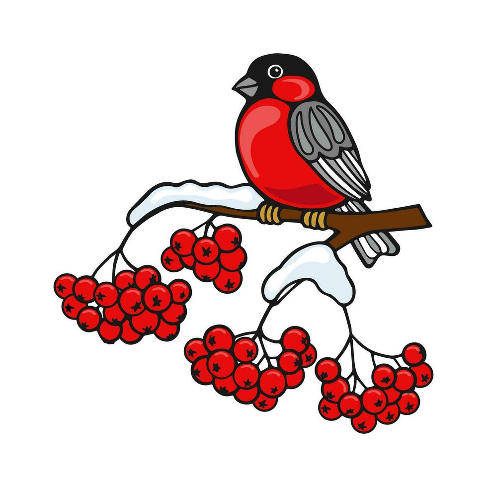 goudvink vogel Aan een met sneeuw bedekt Afdeling van rood lijsterbes. kleurrijk winter illustratie, vector