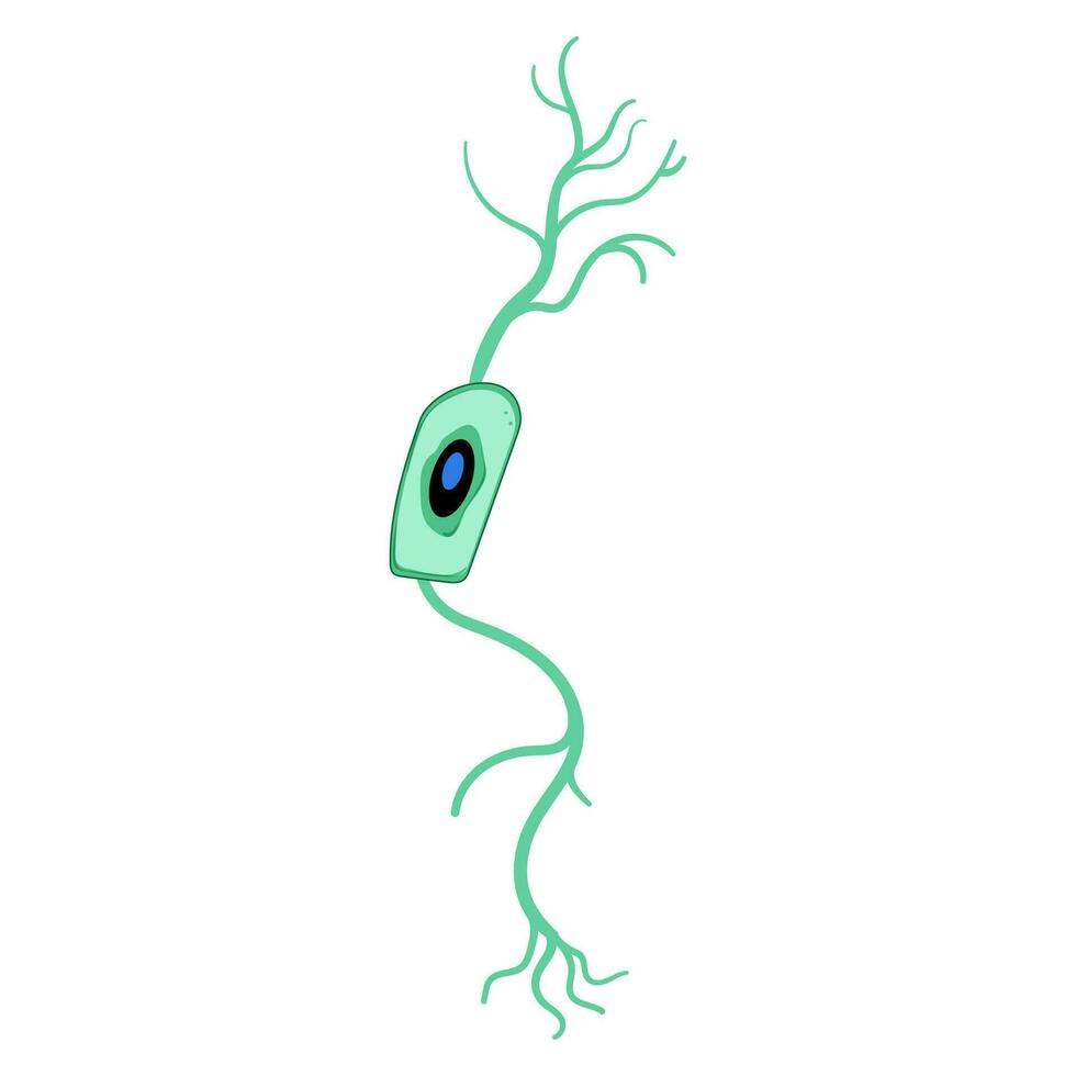 structuur neuronen tekenfilm vector illustratie