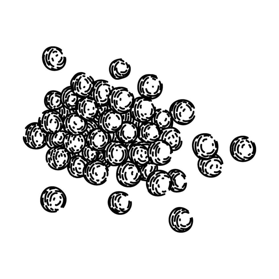 veganistisch linzen schetsen hand- getrokken vector