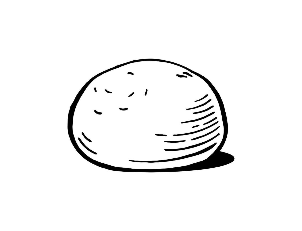 Mozzarella kaas ballen voor restaurant menu's verpakking vector illustratie hand- getrokken